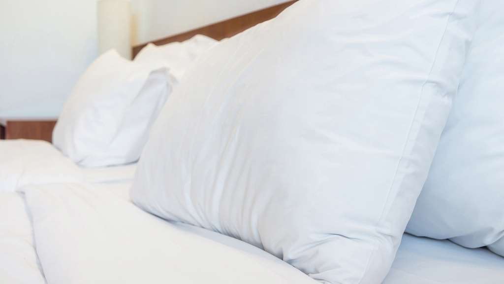 Magnuson Hotel לורנסוויל חדר תמונה